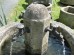 Historischer Sandsteinbrunnen mit 4 Wasserhähnen, das Original